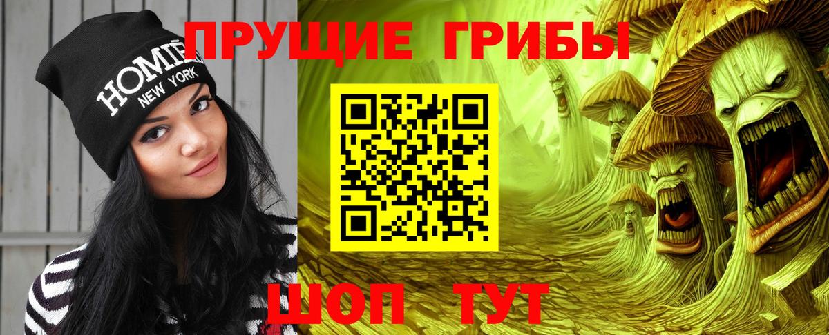Псилоцибиновые грибы Psilocybine cubensis Майский