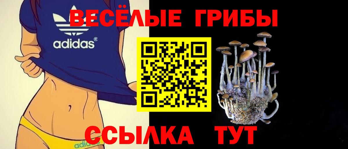 Галлюциногенные грибы прущие грибы  Вход с VPN  Псилоцибиновые грибы ЛСД  Майский 